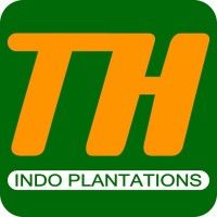 PT TH INDO PLANTATION DAN INDUSTRY