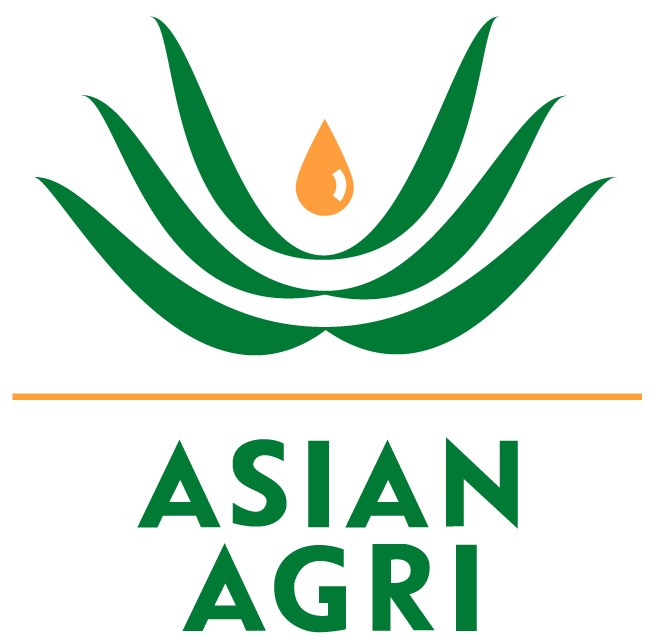 PT ANDALAS INTIAGRO LESTARI - KEBUN AEK KUO